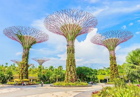 Kinh nghiệm du lịch Gardens by the Bay - Singapore - BestPrice