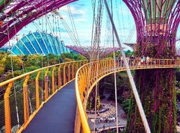 OCBC Skyway | Gardens By The Bay Singapore