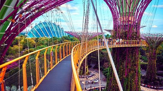 OCBC Skyway | Gardens By The Bay Singapore