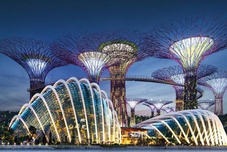 Singapore Gardens by the Bay Admission Ticket with Transfers 2024