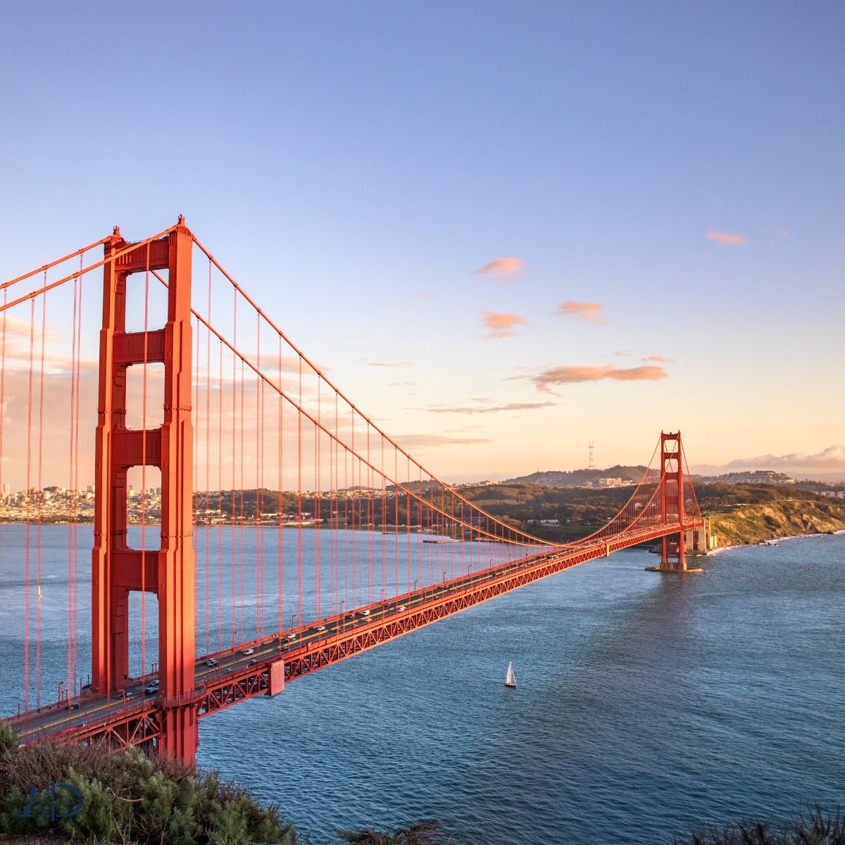 Tượng Nữ thần Tự do, Mỹ